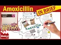 Amoxicillin 500mg Capsule What is Amoxicillin Used For Dosage Contraindications Precautions