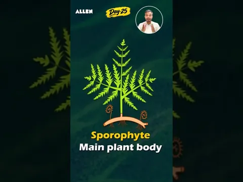 Pteridophyta का पूरा Life Cycle सिर्फ 1 मिनट में! 🌿 | NEET 2027 | Aman Sir