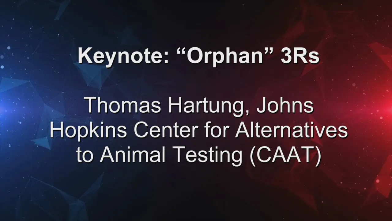 Keynote Orphan 3Rs