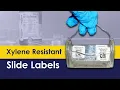 Xylene Resistant Slide Labels