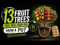 13 Easy Fruit Trees That Produce Huge Harvests in Containers