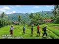 Lagu BUKA PINTU LANGSUNG SAWAH⁉️INDAH TIADA DUANYA, RUMAH KAYU INDAH TENGAH SAWAH | PEDESAAN JAWA BARAT