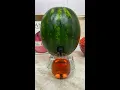 Download Lagu Boxed Wine in a Sangria 🍉
