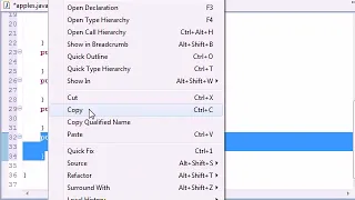 Java Programming Tutorial 40 Set and Get Methods