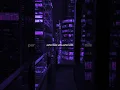 Download Lagu You're Perfect - Charly Black | lyrics | aesthetic | English songs | whatsapp status |slowed #lyrics