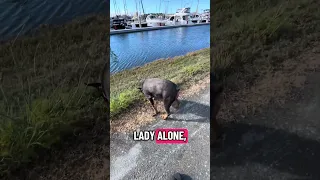 . #Fyp #dream #YouTube #doberman #pets