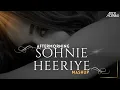 Download Lagu Soniye Heeriye Mashup | Aftermorning