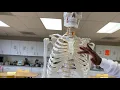 EKG Chest Leads Placement How to correctly place Leads V1 - V6 How to perform an EKG