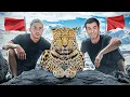 Download Lagu 24H avec Michou dans l’Atlas 🇲🇦 واش لقينا الفهد الأطلس؟