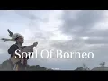 Download Lagu Soul Of Borneo - Uyau Moris