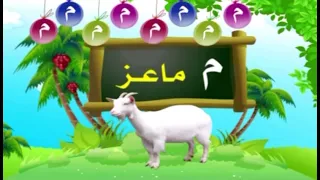 نشيد حرف الميم دندنها