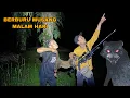 TERKEJUT || BABI HUTAN MUNCUL SAAT KAMI BERBURU MUSANG⁉️