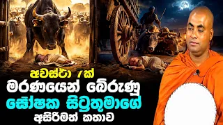 ඝෝෂක සිටුතුමාගේ අසිරිමත් ජීවිත කතාව! | koralayagama saranathissa thero bana