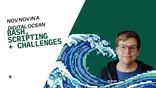 BASH Scripting and a Challenge NovNov11