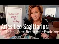 Lagu Aries Leo Sagittarius : Year Of The FIRE HORSE Arrives | Fire Signs