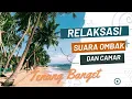 Download Lagu Musik relaksasi Suara Ombak dan burung Camar di Pantai yang akan membuat anda Rileks dan tenang