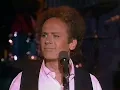Simon and Garfunkel, The Boxer, Central Park, Madison Square Garden
