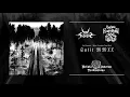 Lagu Vox Clamantis / Before Everything Turns Black - “Split MMXX” (Full Album Premier)