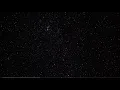 🎵Kodak Black - Don't Leave Me (Lyrics)🎵
