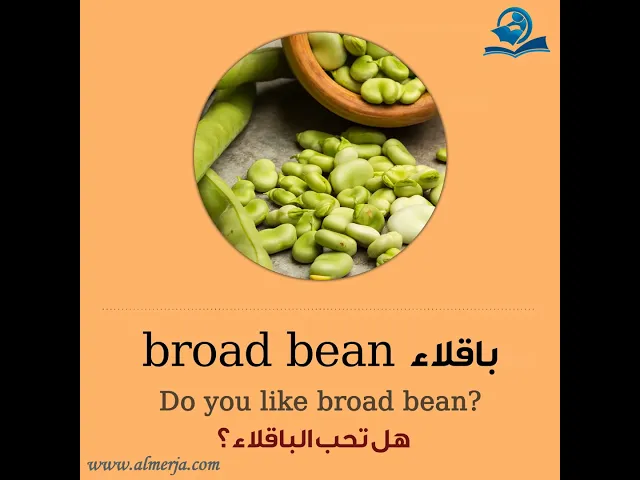 ⁣كيف تلفظ كلمة (باقلاء) في اللغة الإنجليزية How to pronounce (broad bean)
