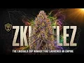 Zkittlez The Emerald Cup Winner That Gave Birth to an Entire Empire