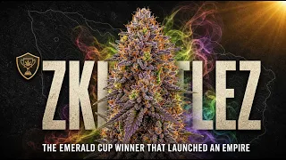 Zkittlez The Emerald Cup Winner That Gave Birth to an Entire Empire