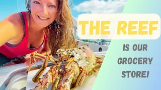 OMG LOBSTER!🦞| The REEF is our Grocery Store | Hallberg Rassy 352 | Sailing Joco EP119