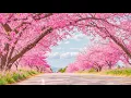 Download Lagu Zachte, ontspannende muziek voor gemoedsrust en comfort 🌸 Muziek voor ontspanning en harmonie #5