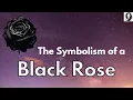 Symbolism of a Black Rose - Black Rose Meaning