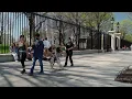 US Secret Service K9 Program - UNLEASHED