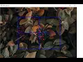 Draw Region of Interest ROI on an Image in OpenCV with Python