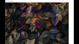Draw Region of Interest ROI on an Image in OpenCV with Python