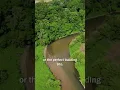 Download Lagu Private 124-Acre multi-use farm in Clayton County, IA
