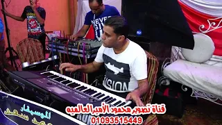 الموسيقار محمد سعد يعزف بئحساس روعه شوف بنفسك فرحه محمود عيسى طنطا الغربيه دندنها
