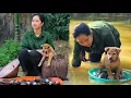 Lagu Lien and her little dog's peaceful life! Will Lien be able to keep the dog by her side?