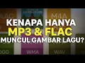 Download Lagu 🎵 MP3 vs FLAC vs WAV: Format Audio Mana yang Tampilkan Gambar Lagu?