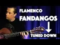 Fandangos - Flamenco Guitar tuned down