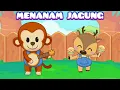 Menanam Jagung | Cangkul Yang Dalam