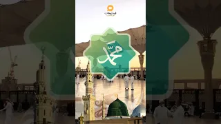 ولد الهدى فالكائنات ضياء 