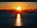 Mark Knopfler & Chris Botti What a wonderful world