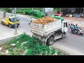 Download Lagu Wonderful start project LANDFILL by Excellent Skill Driver MiniDozer pushing \u0026 Dump Trucks unloading