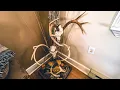 How To Make A DIY Euro Mount Display