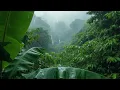 99% Instantly Deep Sleep With Best Rain Sounds | Natural Forest Rain ASMR for Insomnia Relief