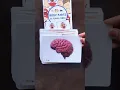 Body parts small flash Cards
