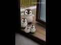 Lagu Help! cute attack! #penguin #cute #cuteanimals #trending #ai #adorable #fluffy #pets #funny #shorts
