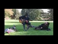 George Harrison - All Things Must Pass 2000