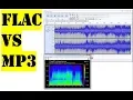 Lagu Flac vs Mp3 | See the difference