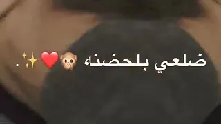 احبك تدري شتمنى  تكسر ضلعي بالحضنة  دندنها