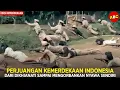 Download Lagu PERTEMPURAN KEMERDEKAAN INDONESIA YANG TIDAK BANYAK DIKETAHUI | Alur Film Pasukan Berani Mati