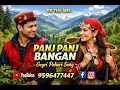 Lagu Panj panj Banga  Gogri pahari song #fareedpathansabri 